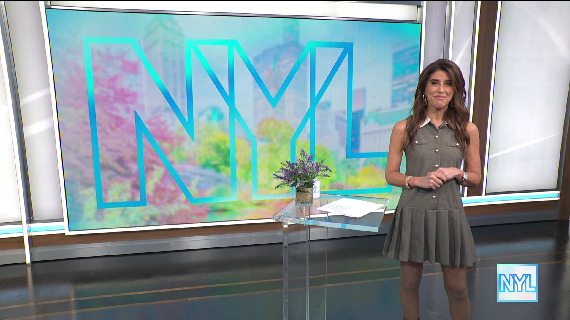 New York Live 2026-01-15-1130 (09).png