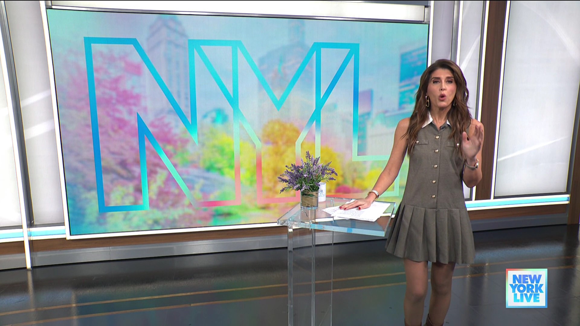 New York Live 2026-01-15-1130 (11).png