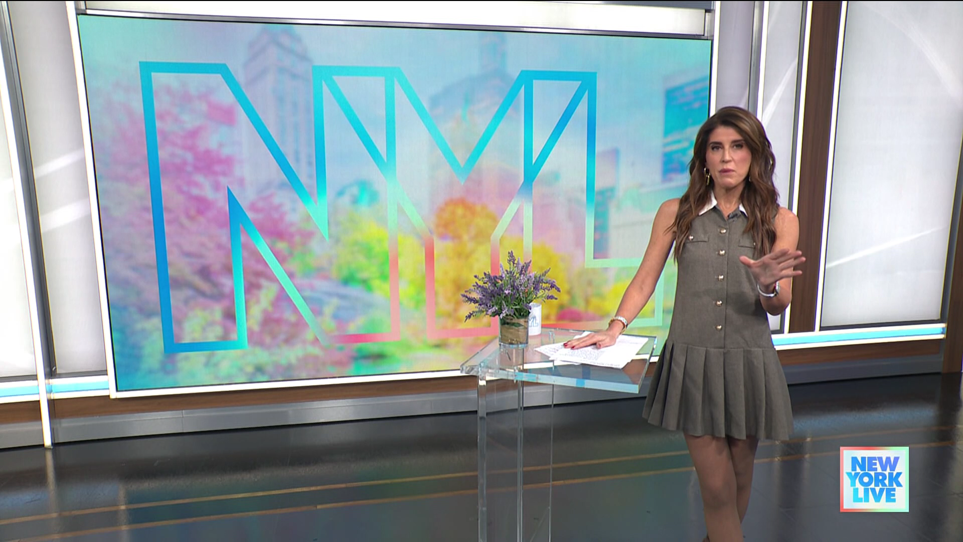 New York Live 2026-01-15-1130 (12).png