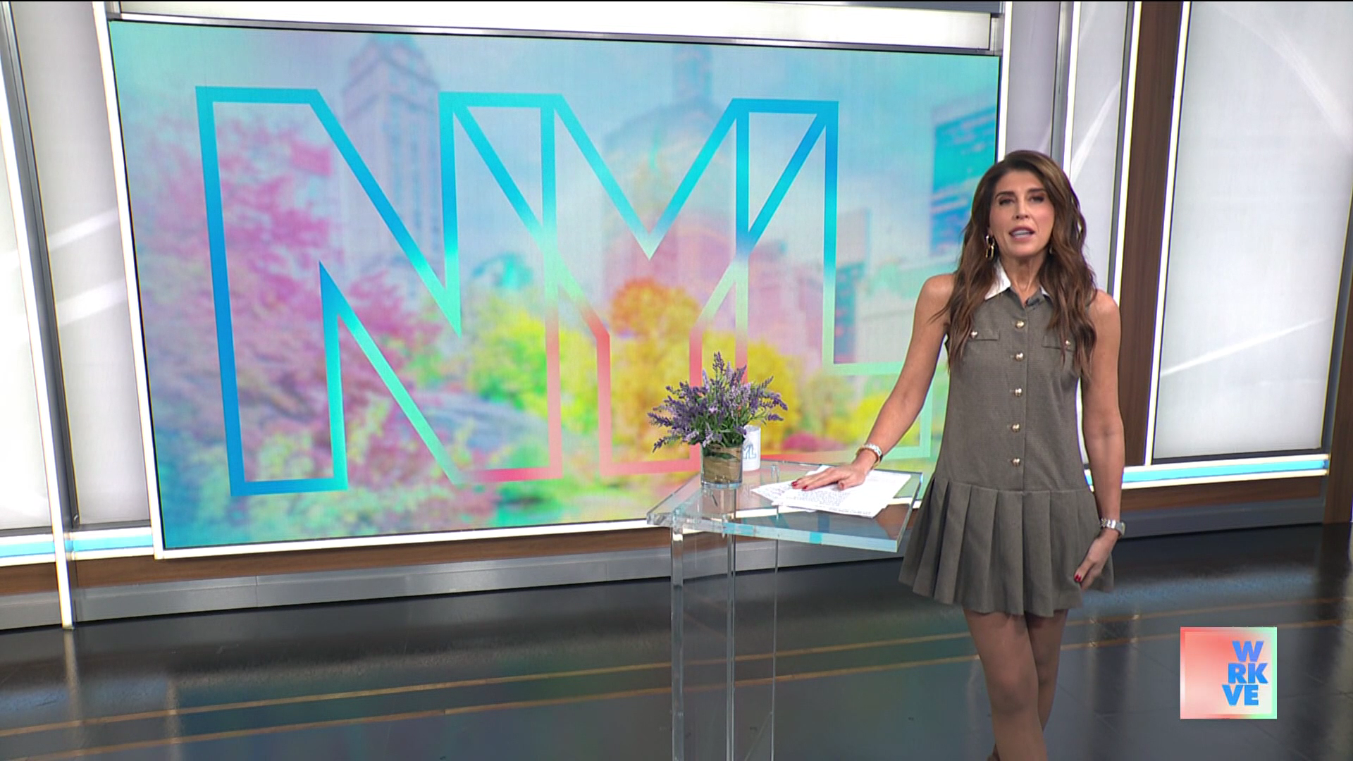 New York Live 2026-01-15-1130 (13).png