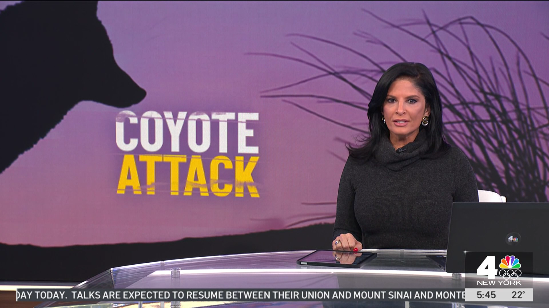 Today in New York 2026-01-16-0500 (07).png