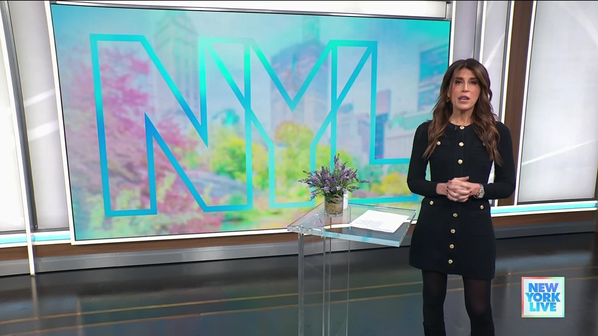 New York Live 2026-01-19-1130.png