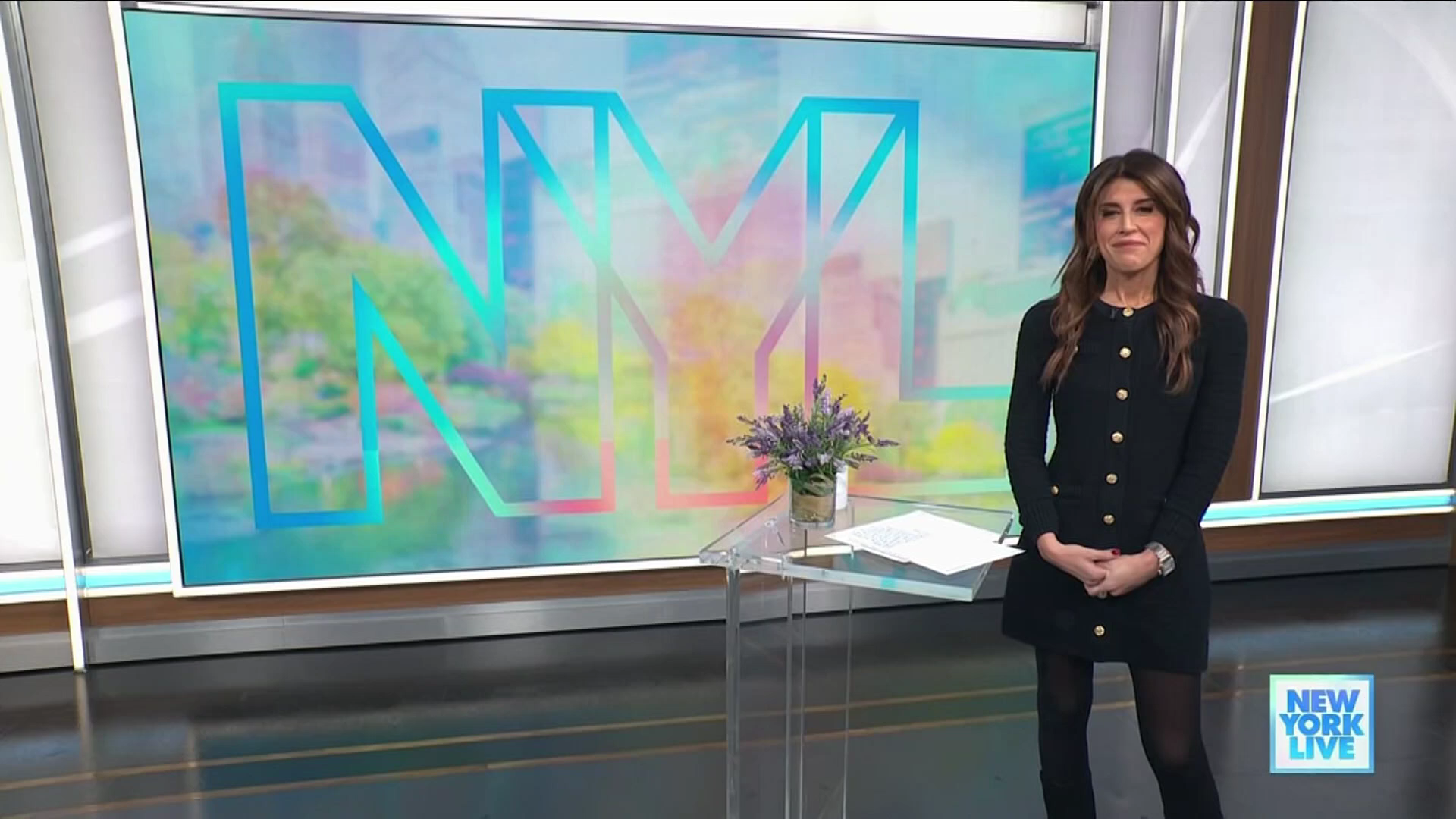 New York Live 2026-01-19-1130 (03).png