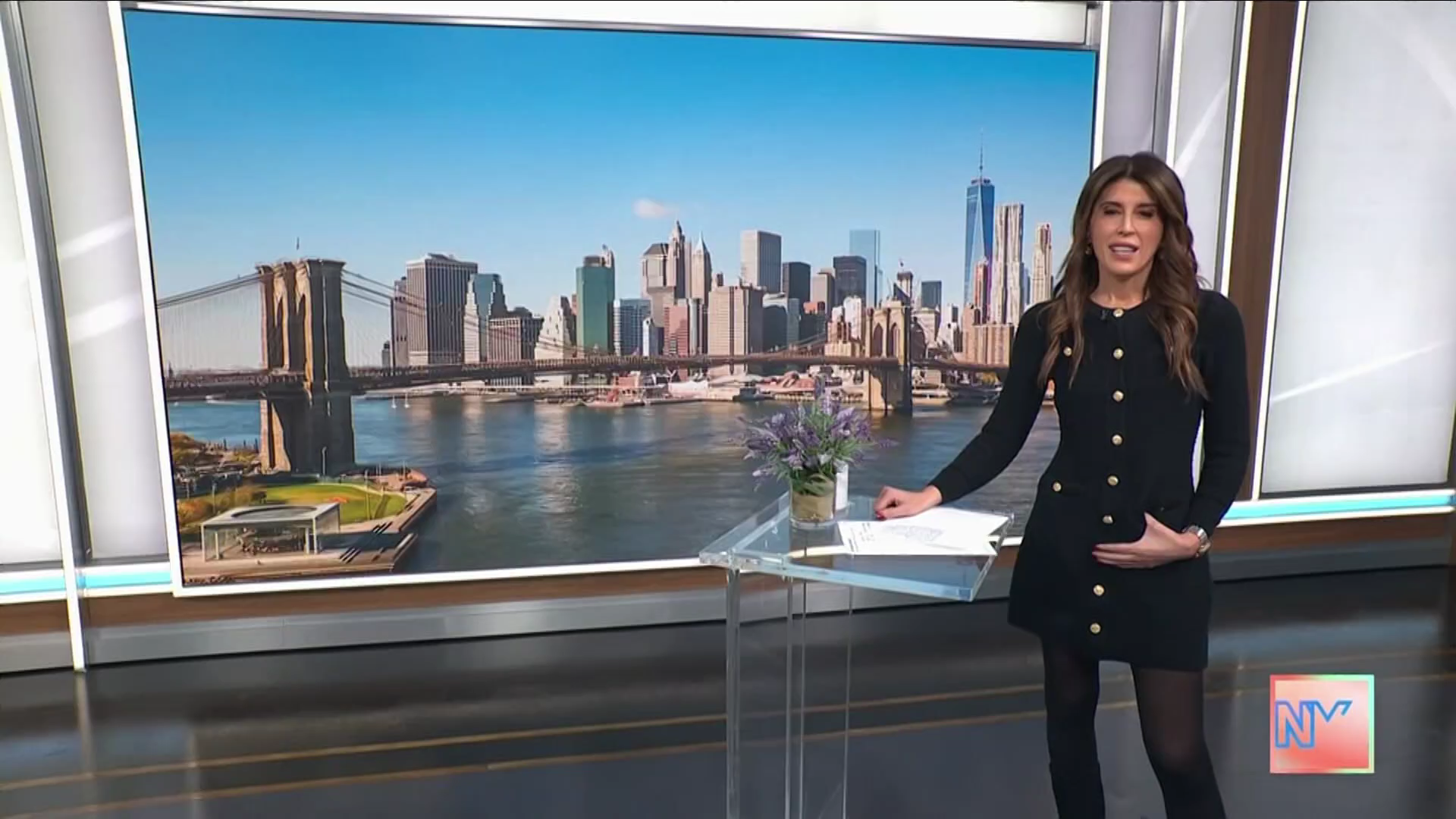 New York Live 2026-01-19-1130 (05).png