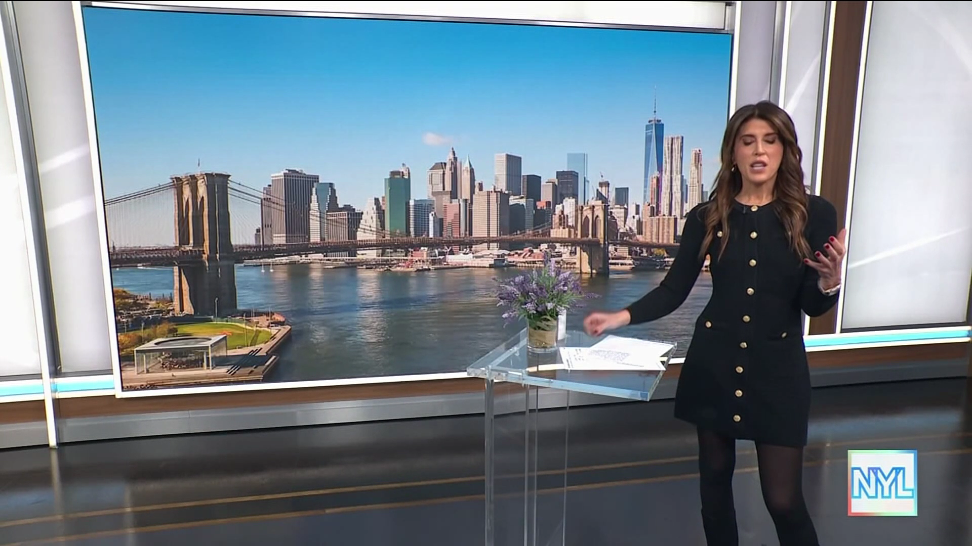 New York Live 2026-01-19-1130 (06).png