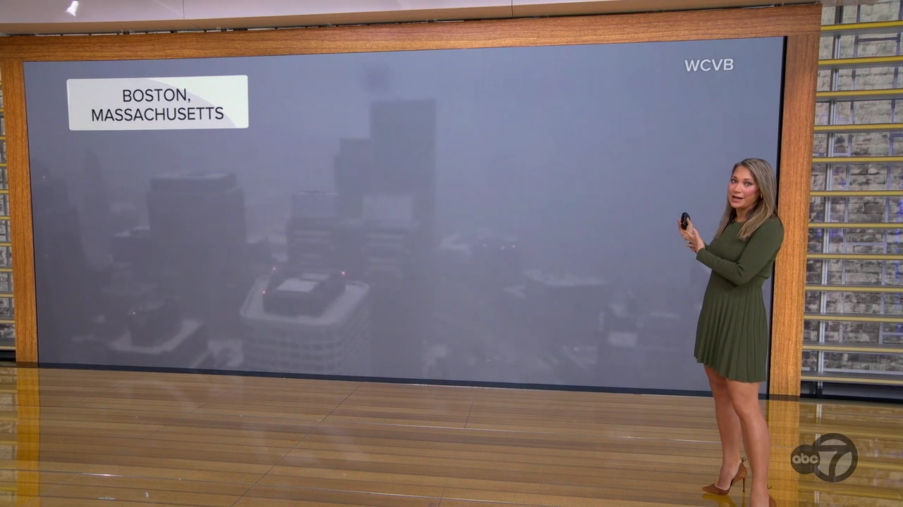 Good Morning America 2026-01-19-0700 (29).png