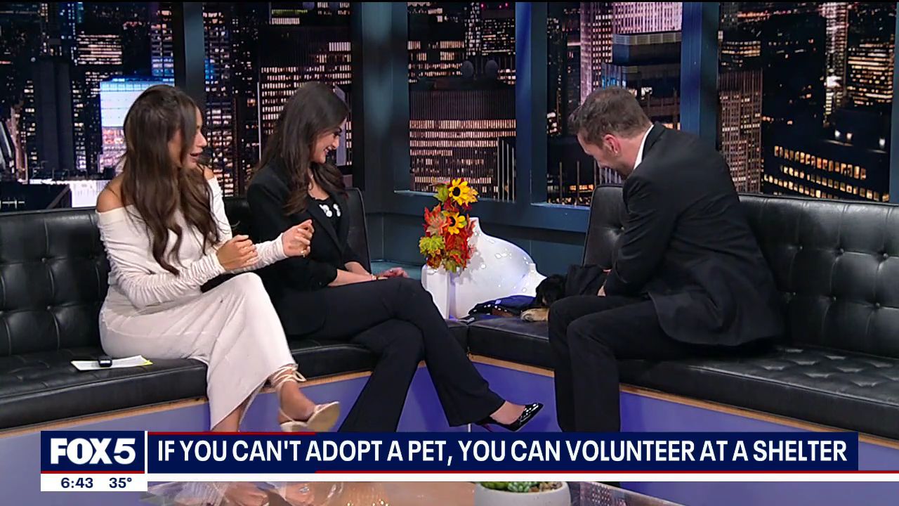 The 6 O'Clock News 2026-01-21-1800 (07).png