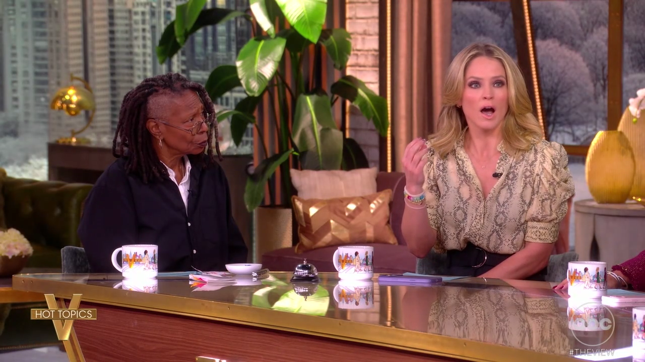 The View S29E92 2026-01-29-1100 (23).png