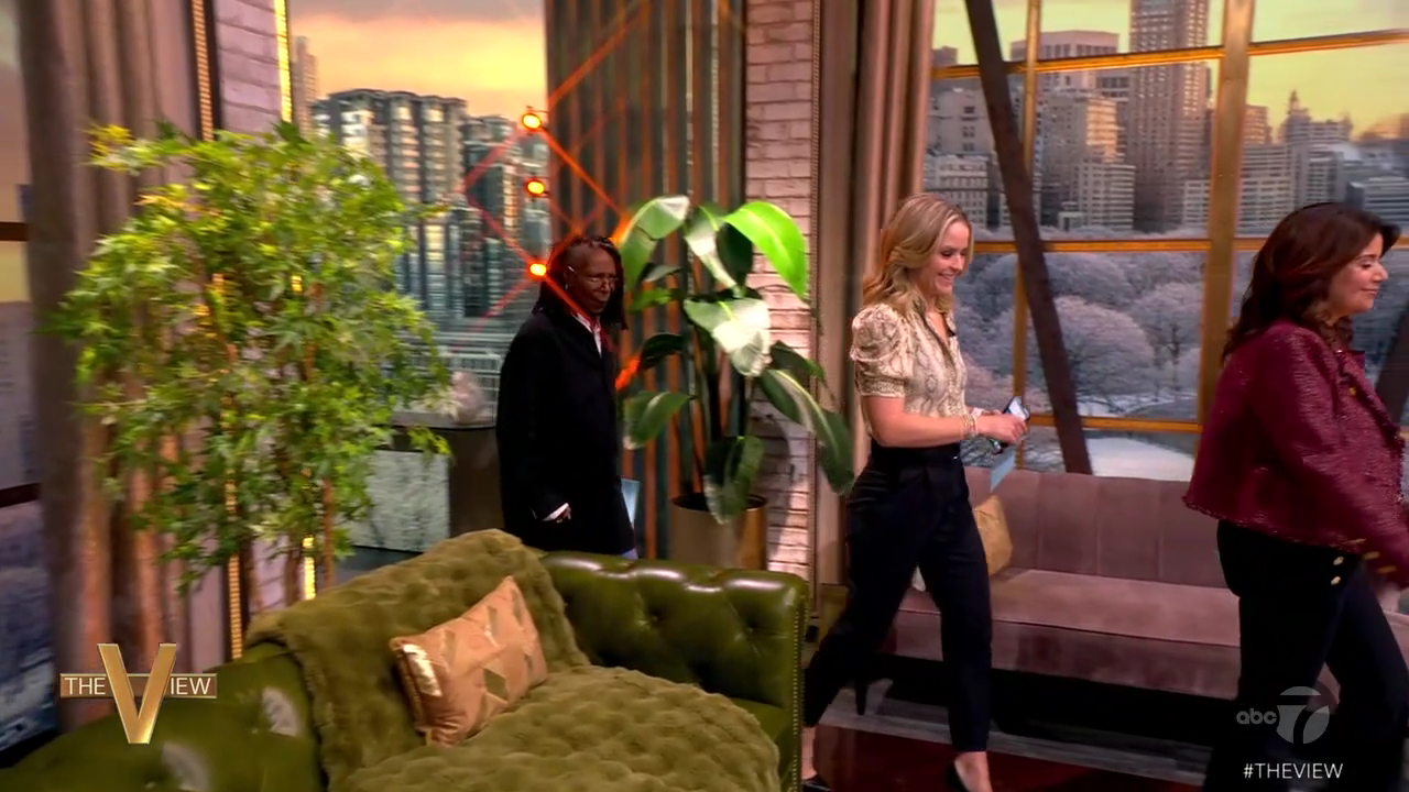 The View S29E92 2026-01-29-1100 (03).png