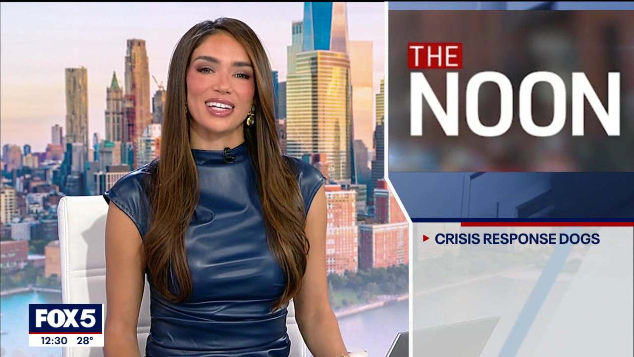 The Noon 2026-02-02-1200 (09).png