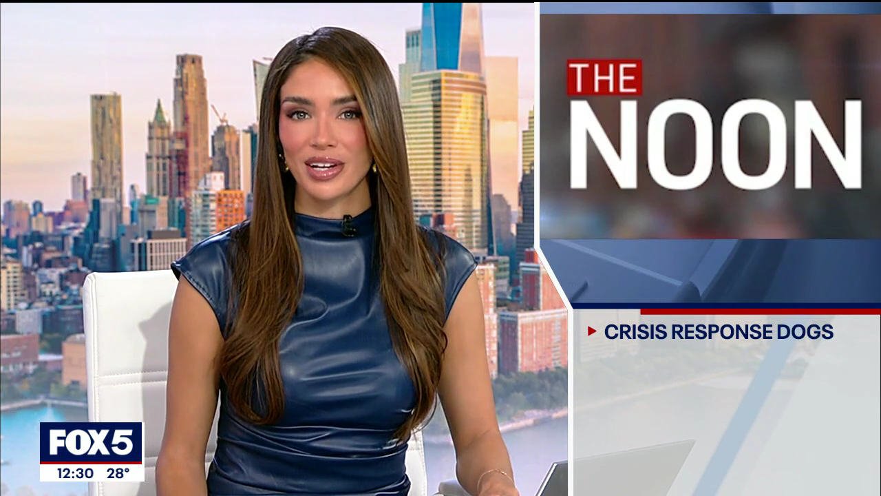 The Noon 2026-02-02-1200 (11).png