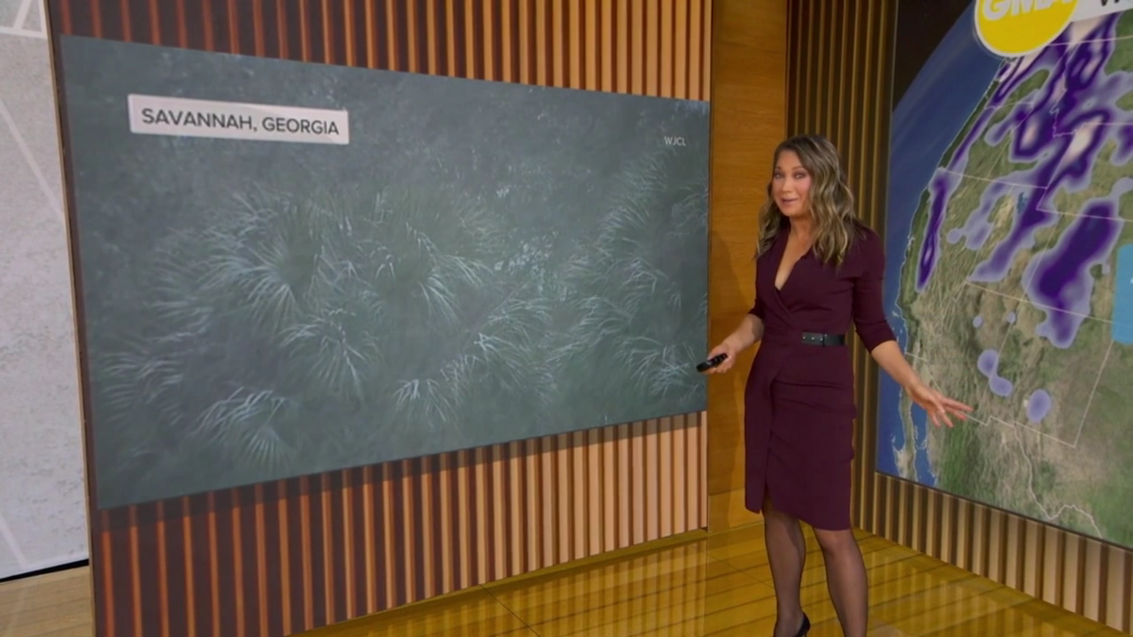 Good Morning America 2026-02-03-0720 (14).png