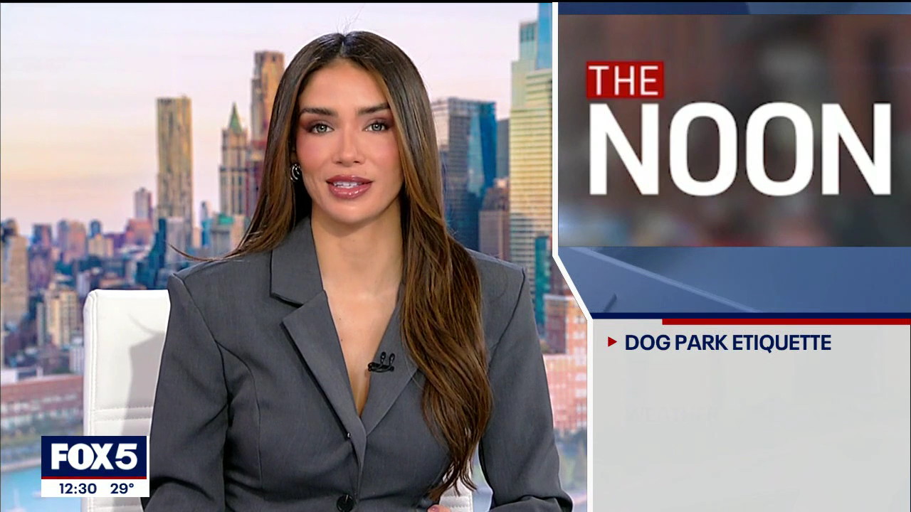 The Noon 2026-02-03-1200 (08).png