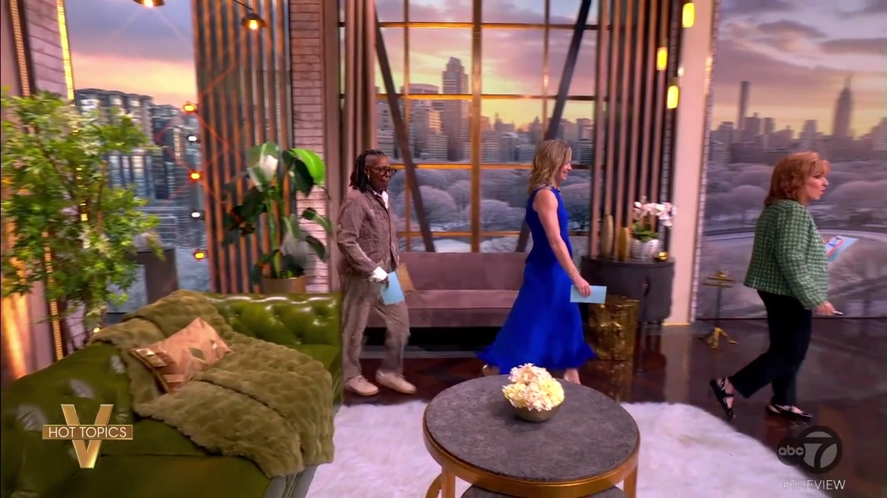 The View S29E121 2026-03-11-1100 (04).png