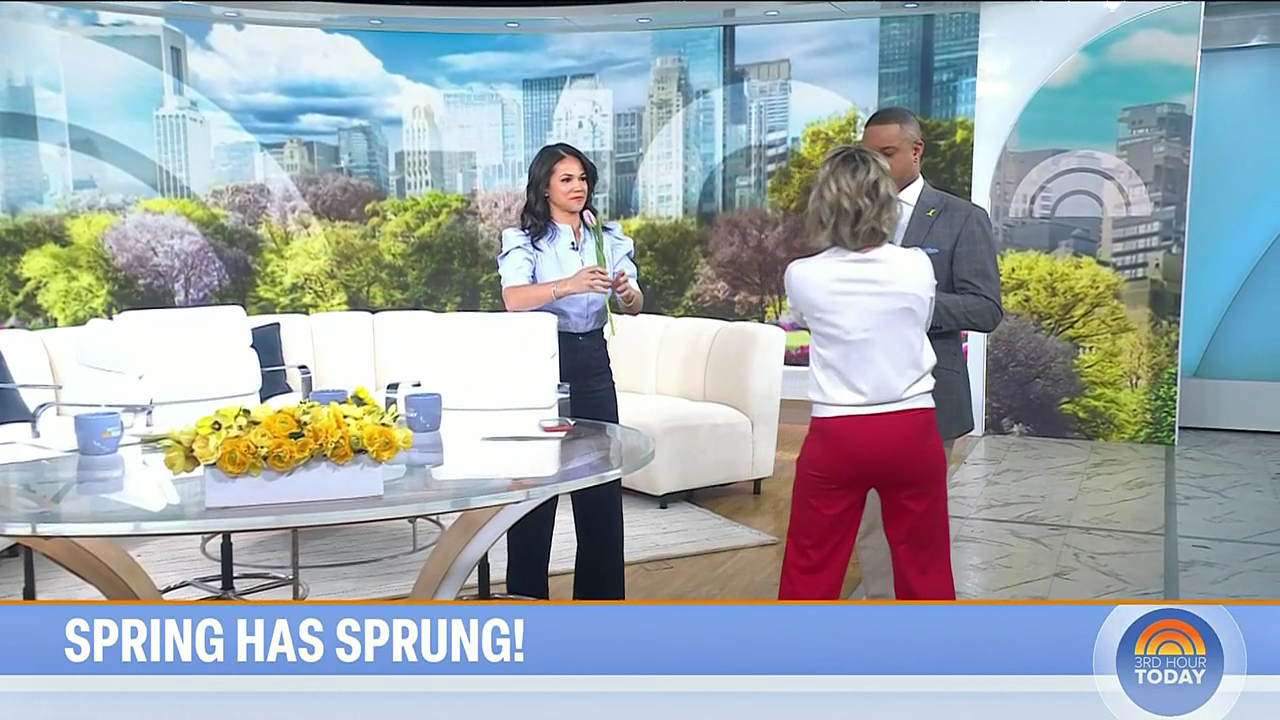 Today 3rd Hour S08E129 2026-03-20-0900 (06).png