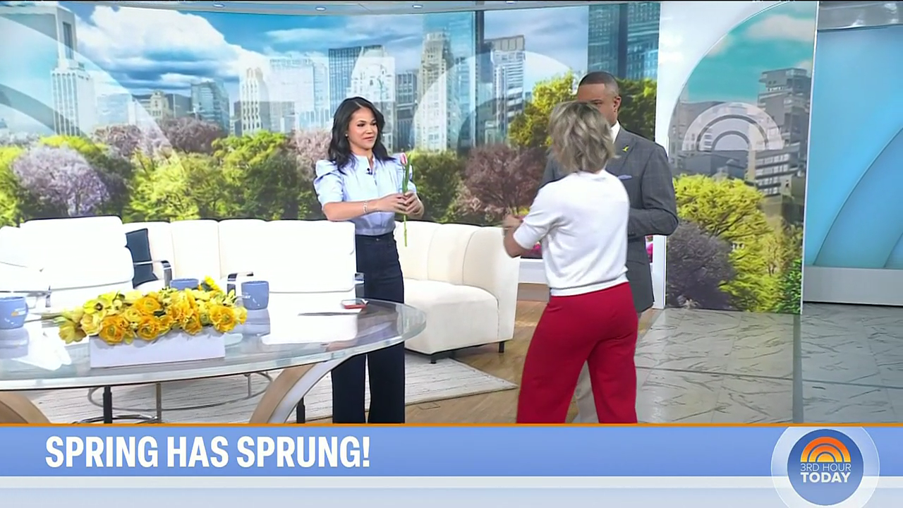 Today 3rd Hour S08E129 2026-03-20-0900 (07).png