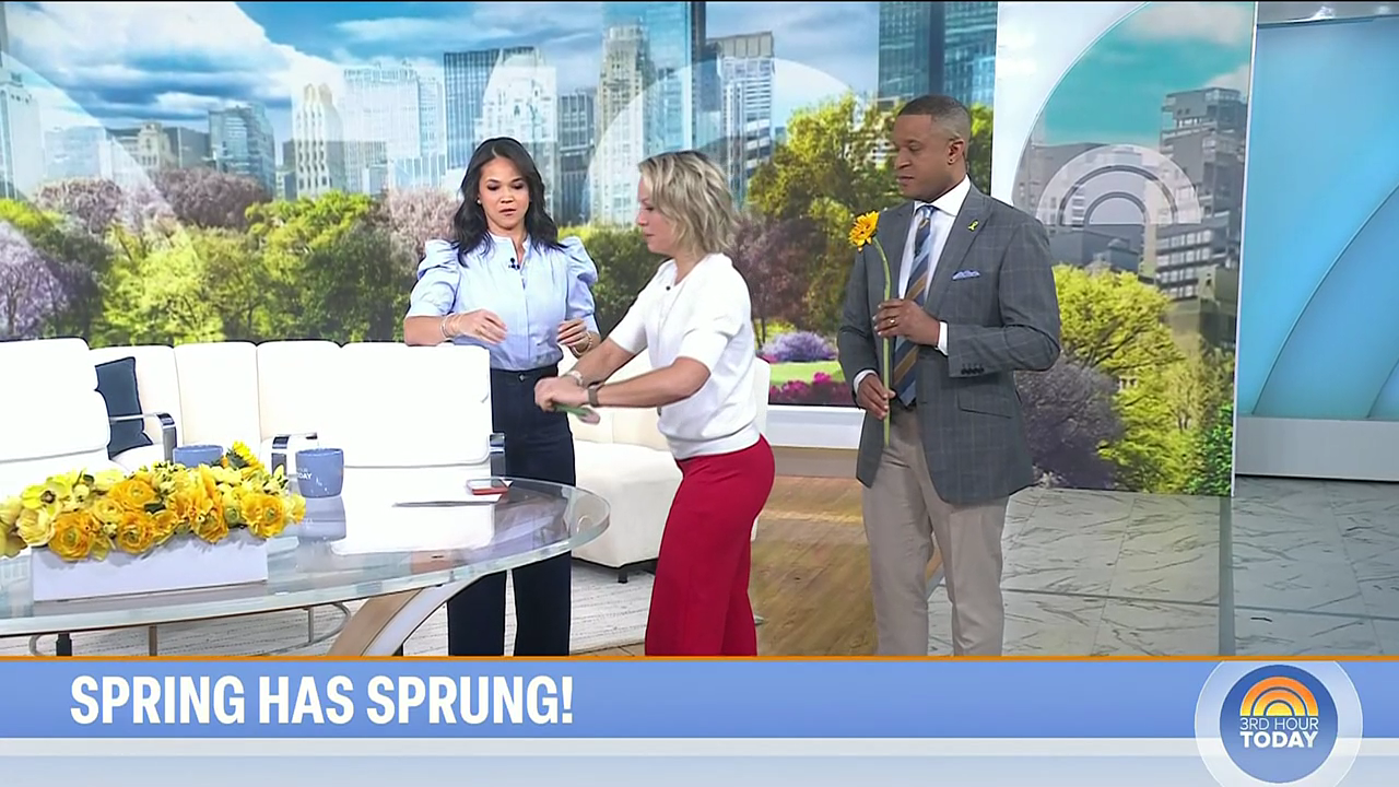 Today 3rd Hour S08E129 2026-03-20-0900 (11).png