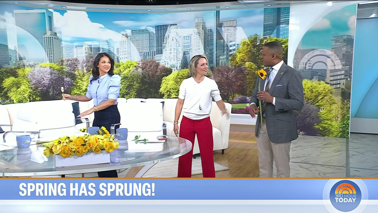 Today 3rd Hour S08E129 2026-03-20-0900 (23).png