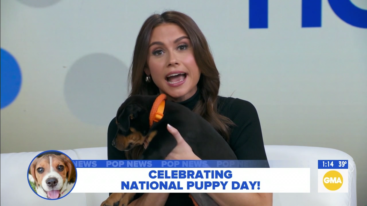 GMA3 S06E129 2026-03-23-1300 (12).png