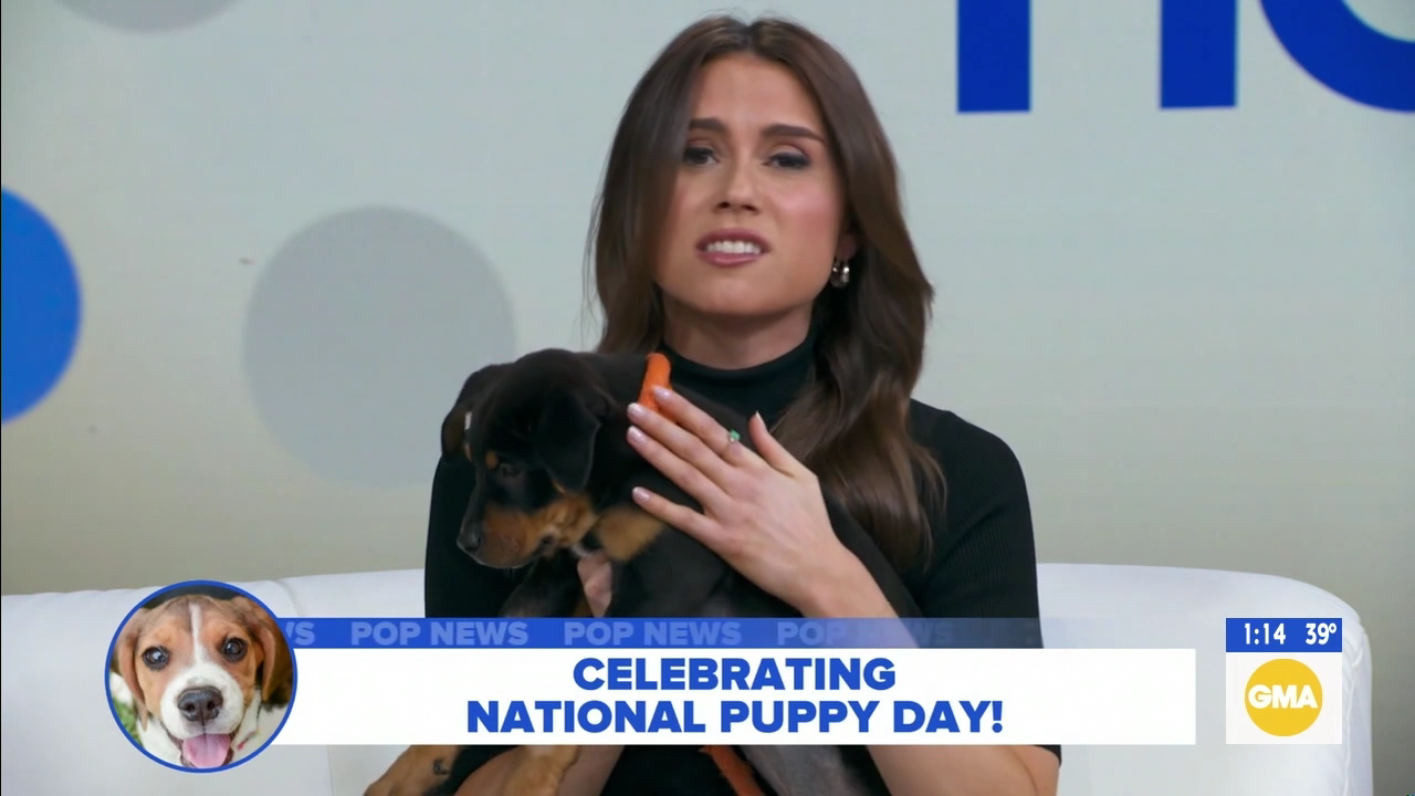 GMA3 S06E129 2026-03-23-1300 (13).png