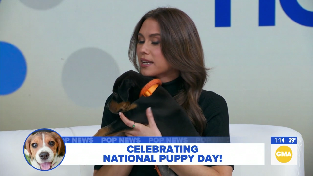 GMA3 S06E129 2026-03-23-1300 (14).png