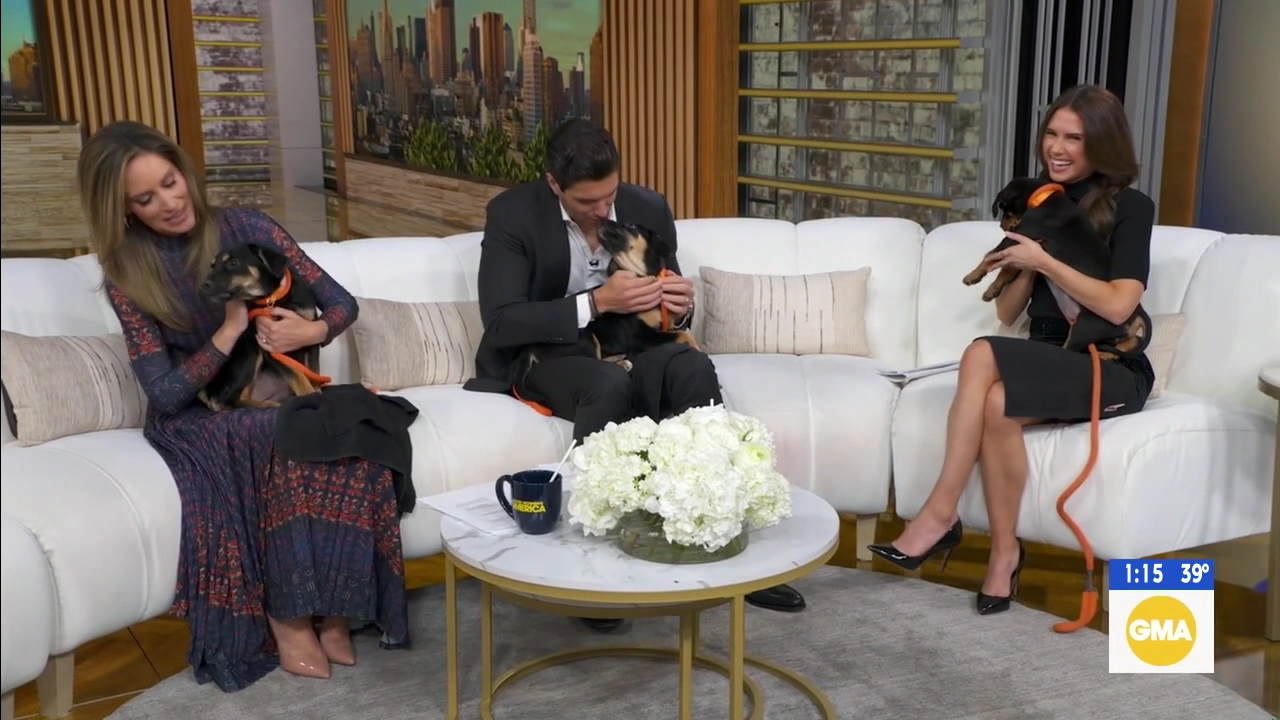 GMA3 S06E129 2026-03-23-1300 (16).png