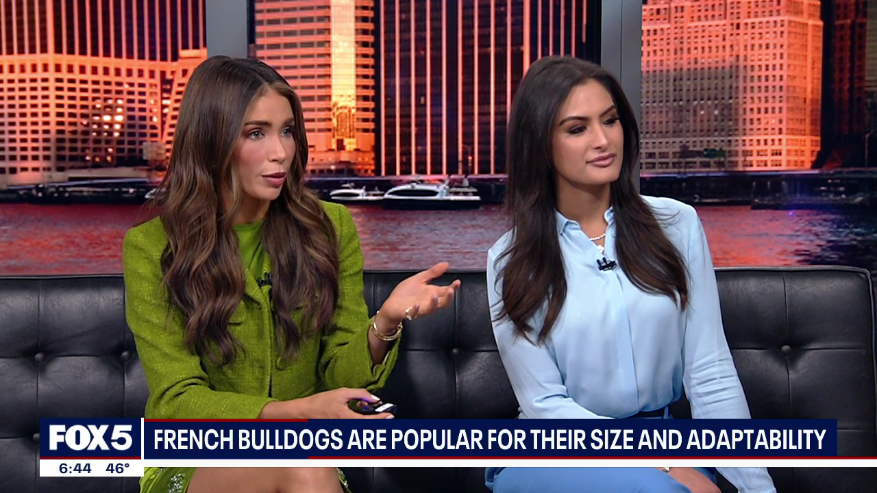 The 6 O'Clock News 2026-03-24-1800 (09).png