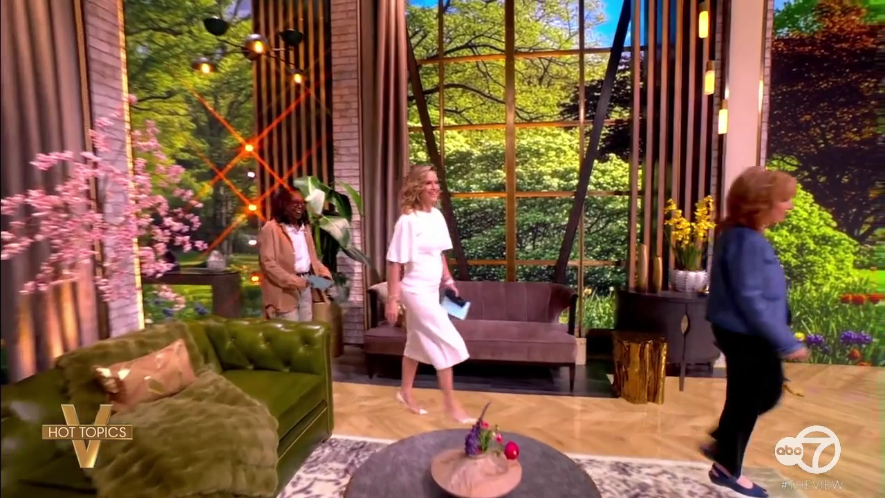 The View S29E131 2026-03-25-1100 (02).png