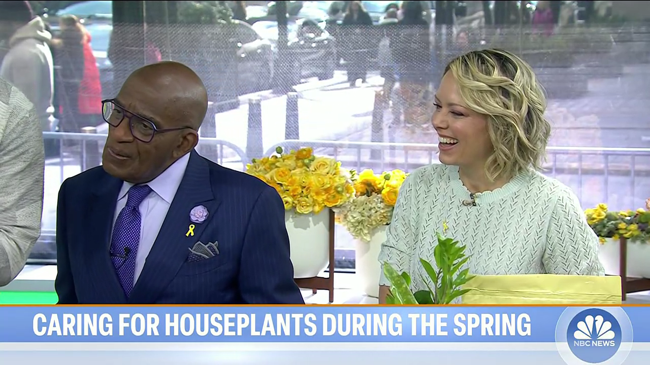 Today 3rd Hour S08E133 2026-03-26-0900 (18).png