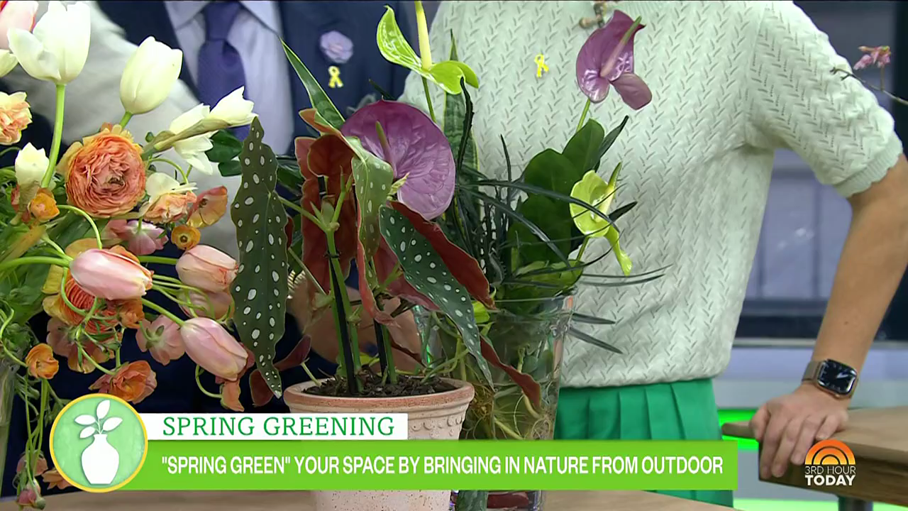 Today 3rd Hour S08E133 2026-03-26-0900 (22).png