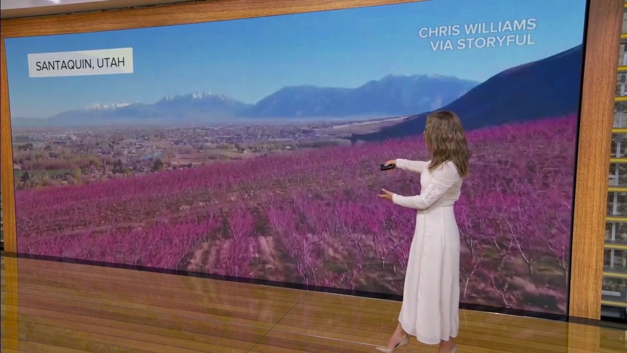 Good Morning America 2026-03-27-0700 (28).png