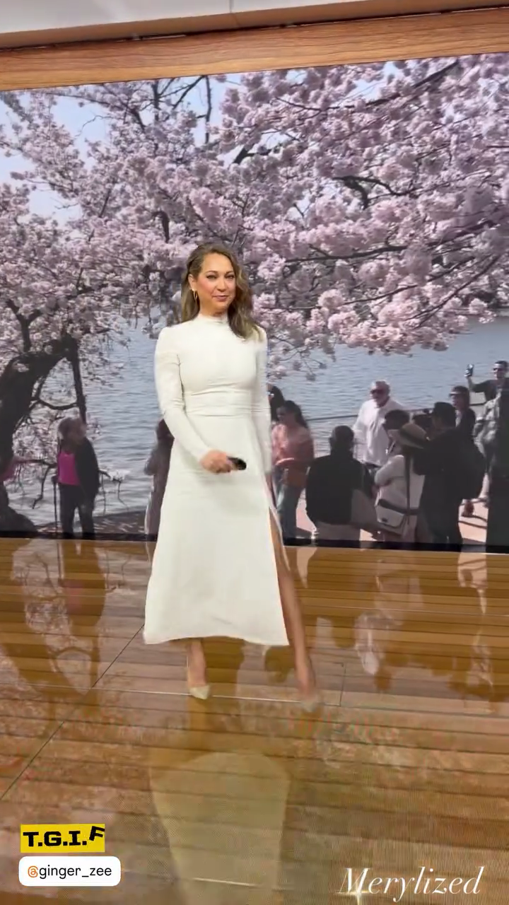 StorySaver.net-msmerylin-Video-1774645928055 (03).png