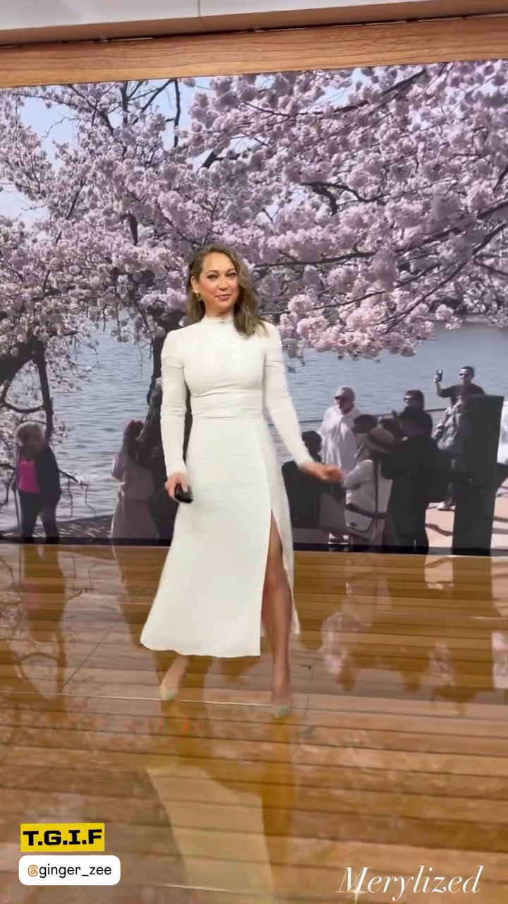 StorySaver.net-msmerylin-Video-1774645928055 (04).png