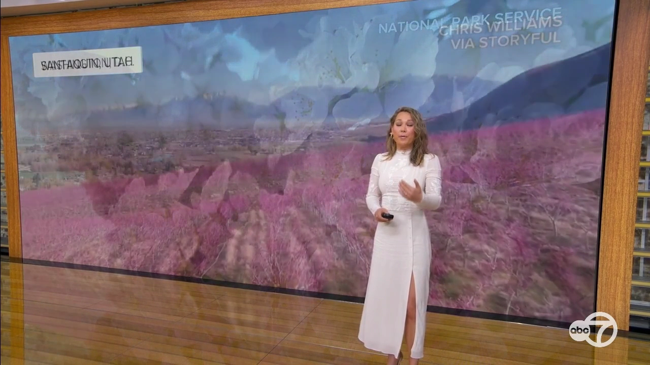 Good Morning America 2026-03-27-0700 (24).png