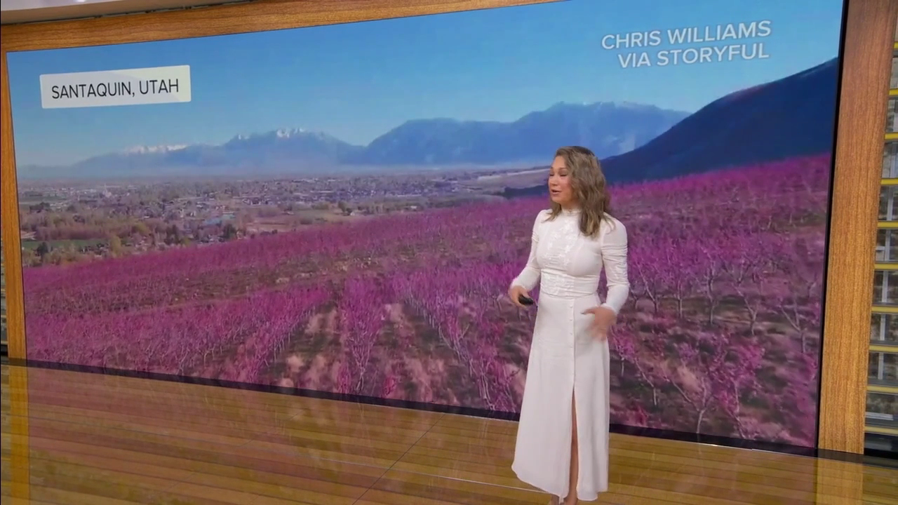 Good Morning America 2026-03-27-0700 (25).png