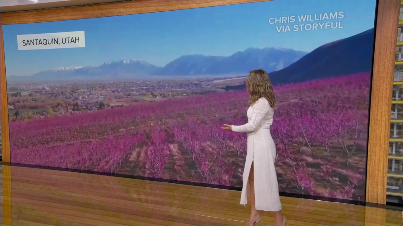 Good Morning America 2026-03-27-0700 (26).png