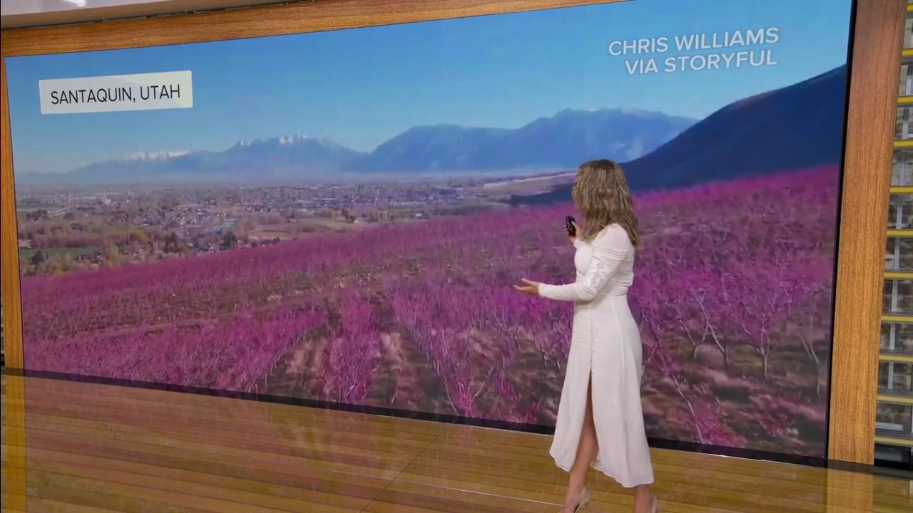 Good Morning America 2026-03-27-0700 (27).png