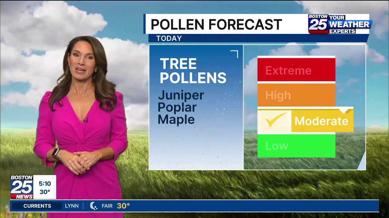 Boston 25 Morning News at 5AM 2026-04-08-0500 (07).png