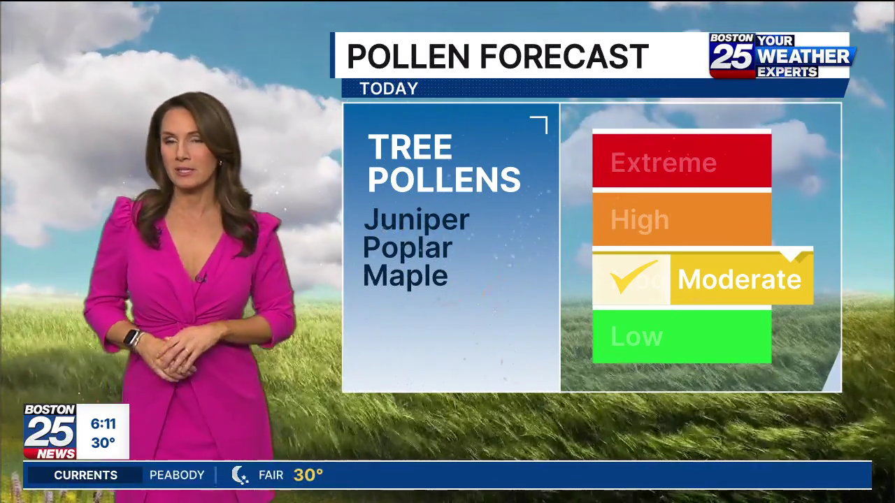 Boston 25 Morning News at 6AM 2026-04-08-0600 (02).png