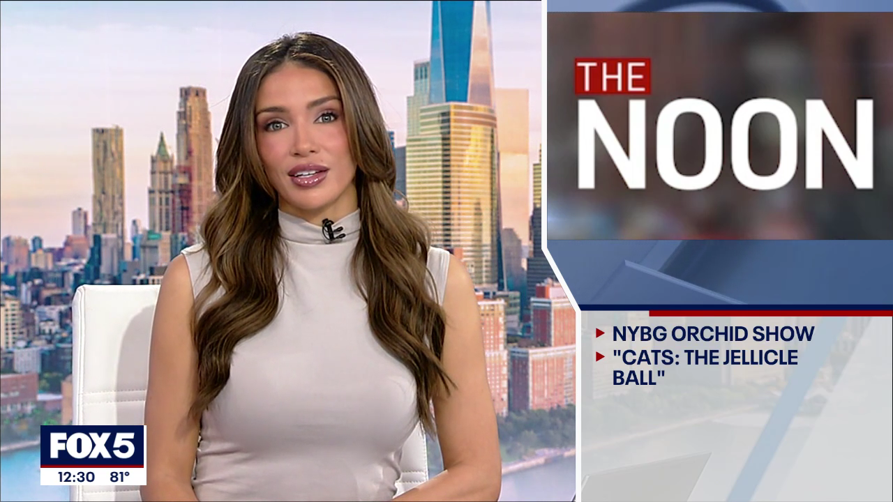 The Noon 2026-04-14-1200 (07).png