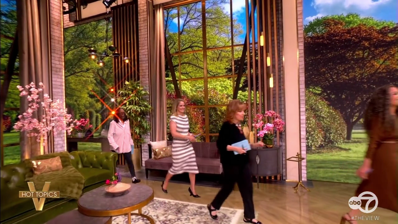 The View S29E141 2026-04-16-1100.png