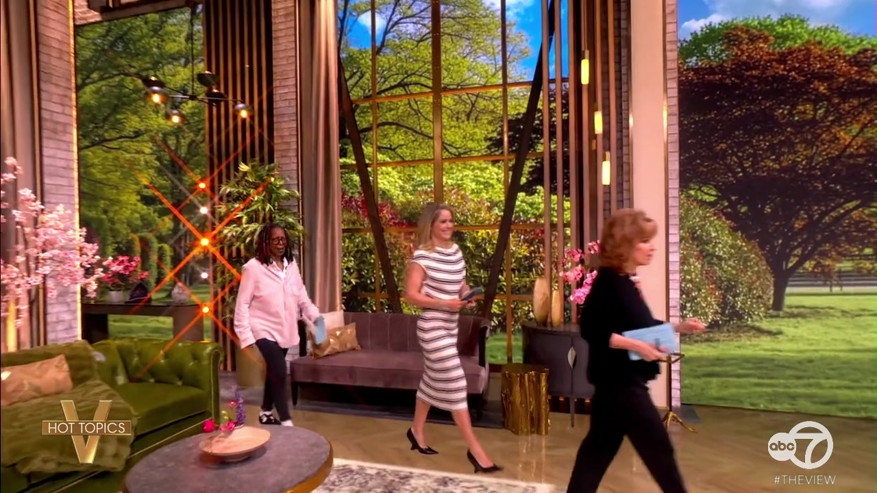 The View S29E141 2026-04-16-1100 (02).png