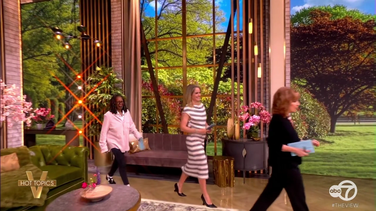 The View S29E141 2026-04-16-1100 (03).png