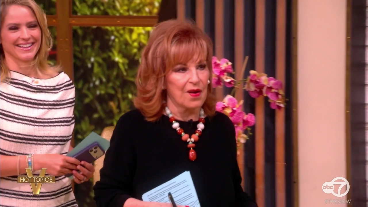 The View S29E141 2026-04-16-1100 (05).png