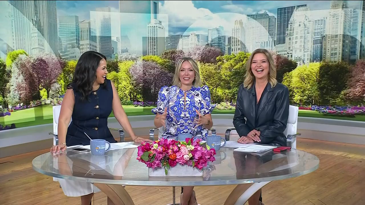 Today 3rd Hour S08E149 2026-04-17-0900.png