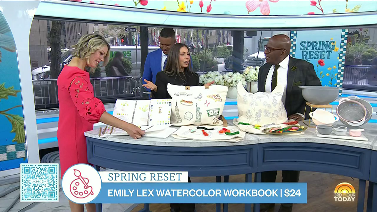 Today 3rd Hour S08E150 2026-04-20-0900 (33).png