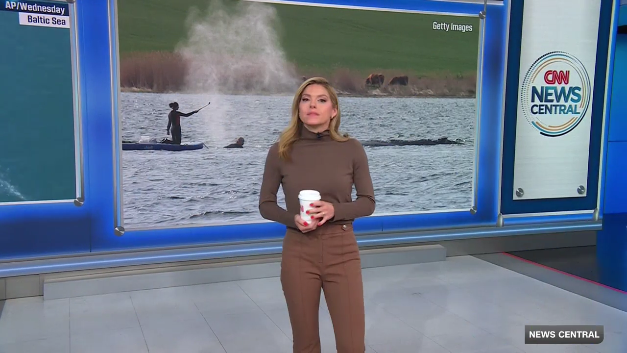 CNN News Central 2026-04-30-0900 (15).png