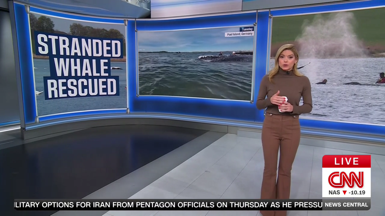 CNN News Central 2026-04-30-0900 (19).png