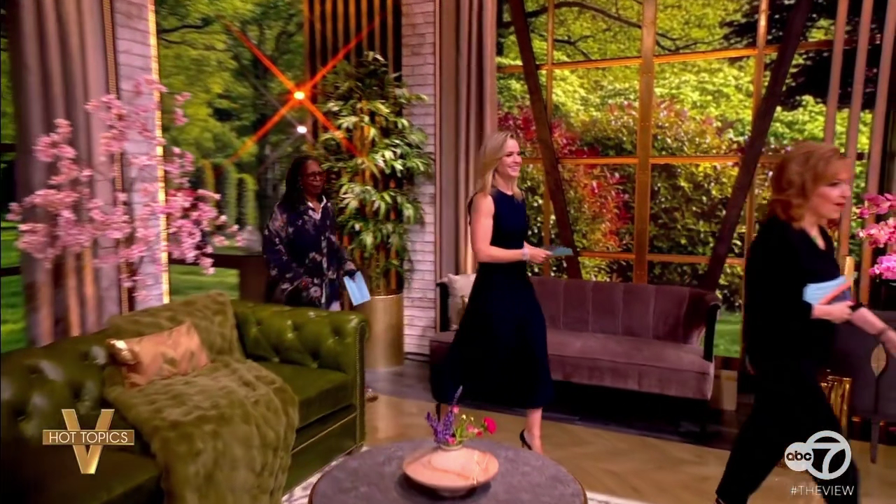 The View S29E155 2026-05-06-1100 (02).png