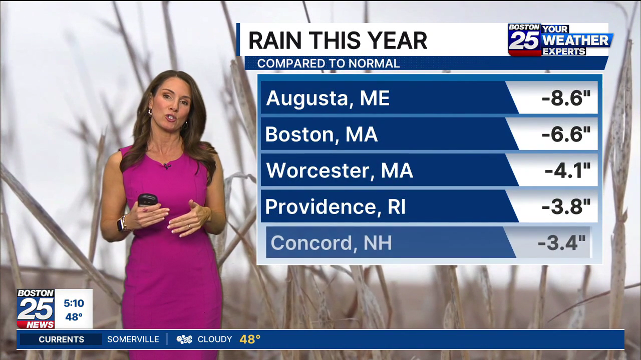 Boston 25 Morning News at 5AM 2026-05-12-0500 (19).png